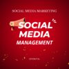 Social Media Management Service (Content + Scheduling)